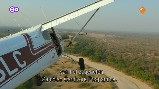 Attenborough: Kingdom