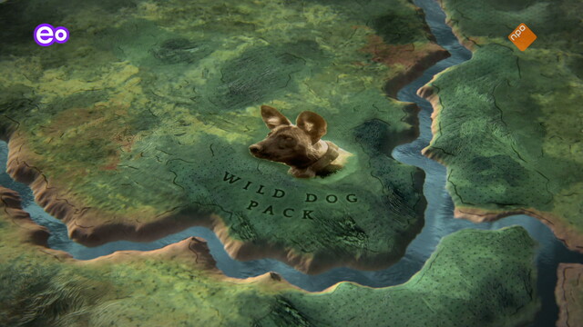 Attenborough: Kingdom