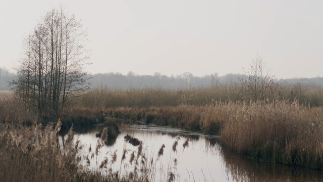 Override of the title Natuurgebied
