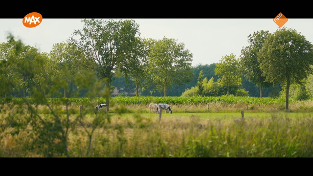 Noord-Zuid-Oost-West