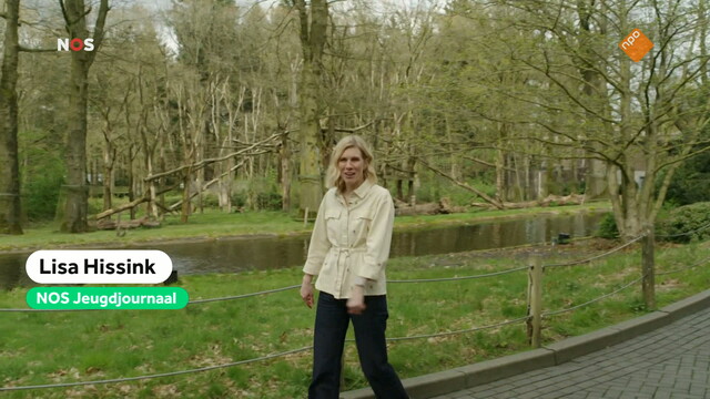 NOS Jeugdjournaal