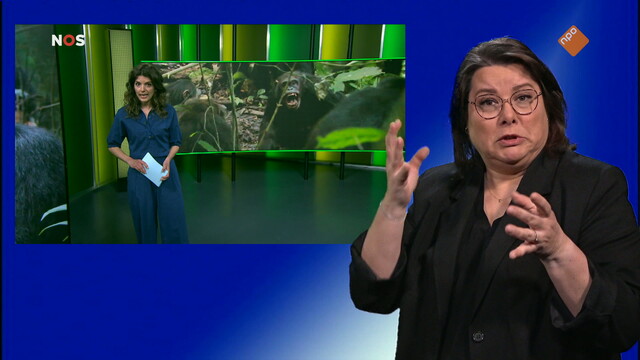 Override of the title NOS Jeugdjournaal met gebarentaal