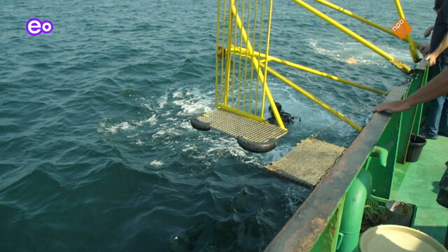 Op zee gebleven