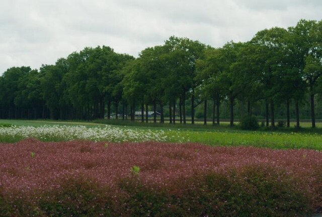 natuur