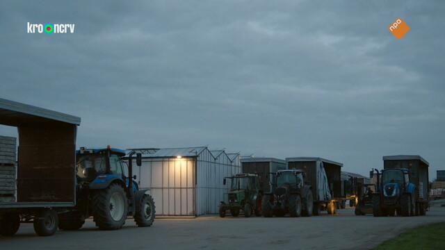 Override of the title Onze boerderij: de oogst