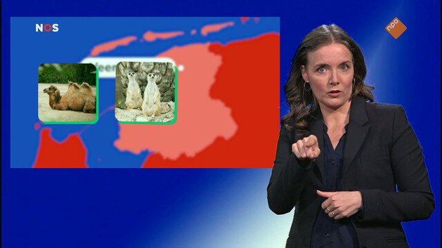 Override of the title NOS Jeugdjournaal met gebarentaal