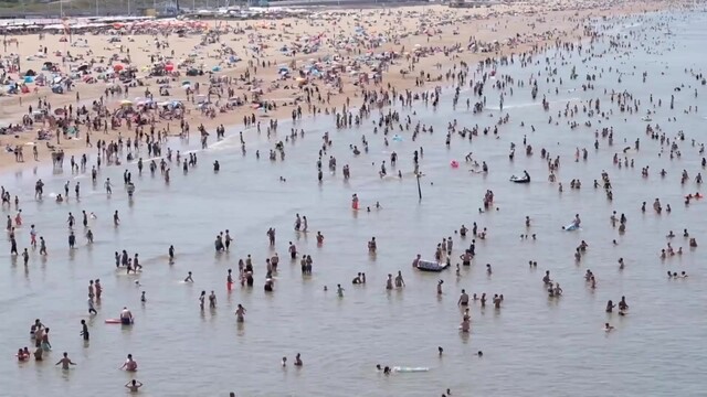 Beeld van strand met feel mensen