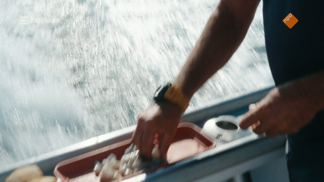 Override of the title Zomer zonder centen