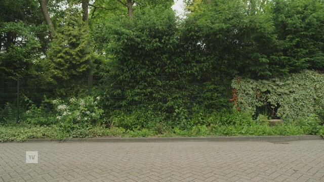 Override of the title Is je elektrische auto de oplossing voor het overvolle stroomnet? "Kan meerdere huishoudens van stroom voorzien"
