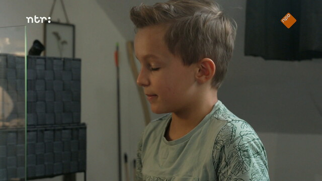 Override of the title Het Klokhuis