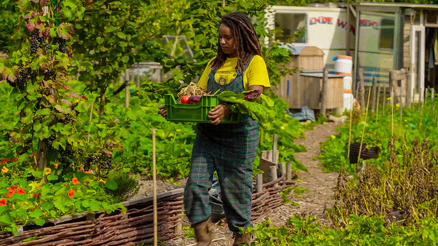 Override of the title Moestuin