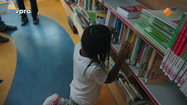 De bibliotheek