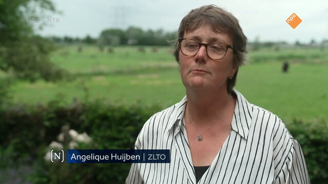 Override of the title Nieuwsuur