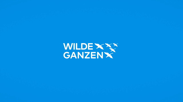 Override of the title Wilde Ganzen