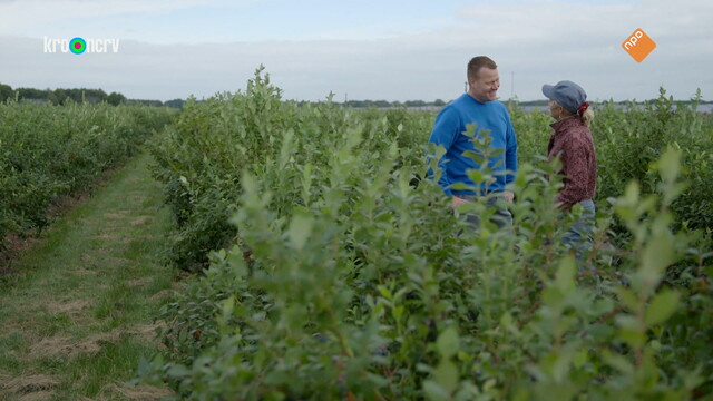 Override of the title Onze boerderij: de oogst