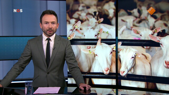 NOS Journaal in Makkelijke Taal