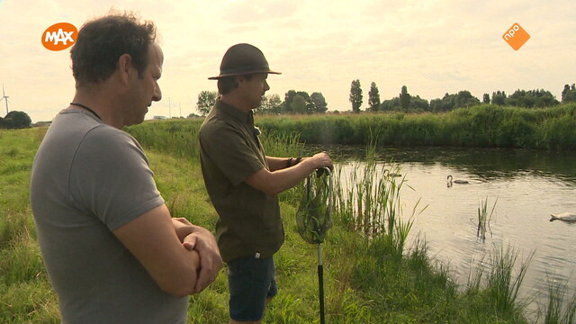 Override of the title Noord-Zuid-Oost-West