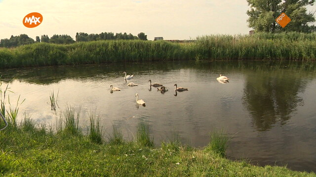 Override of the title Noord-Zuid-Oost-West