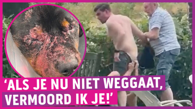 Override of the title PowNews hard aangevallen bij bezoek aan berucht dierenpension!