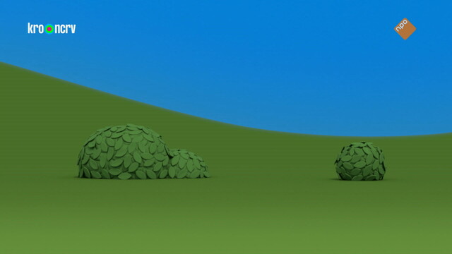 Nijntjes avonturen, groot en klein