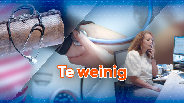 Override of the title Thumbnail huisarts staking