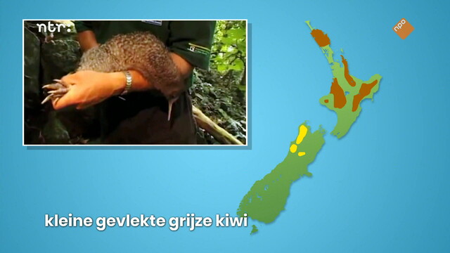 Override of the title Het Klokhuis