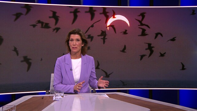 Nieuwsuur