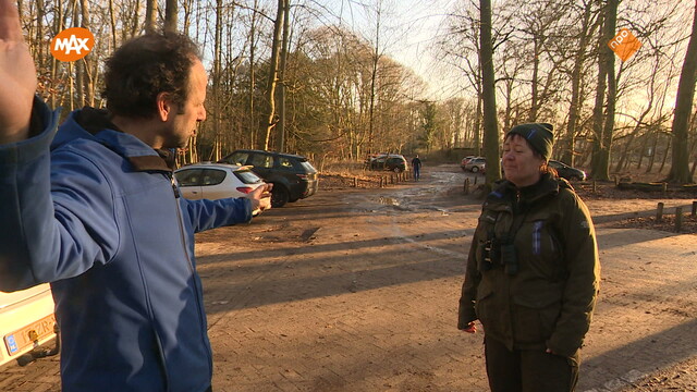 Noord-Zuid-Oost-West