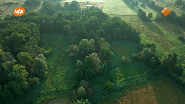 Noord-Zuid-Oost-West