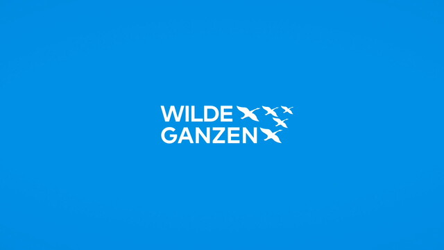 Wilde Ganzen