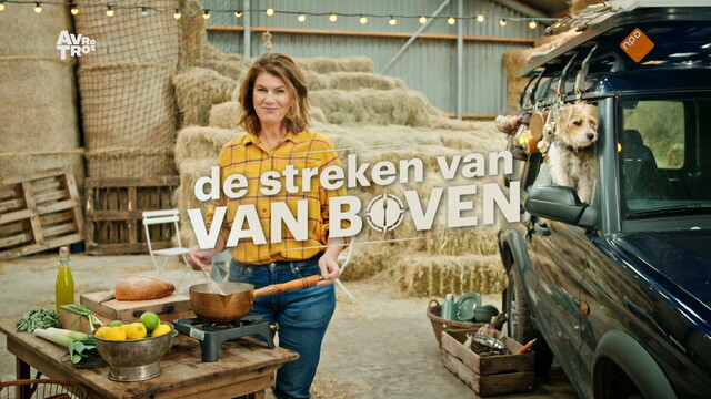 De streken van Van Boven