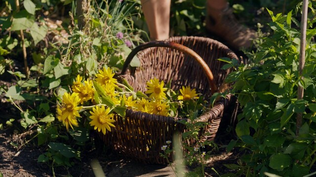 Tuinenpark Ons Buiten