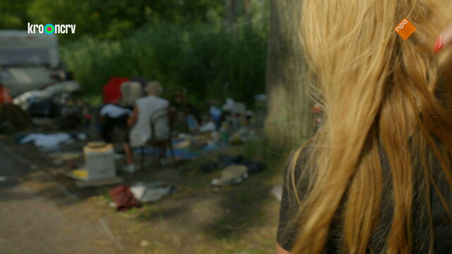 Override of the title Boeddha in de polder