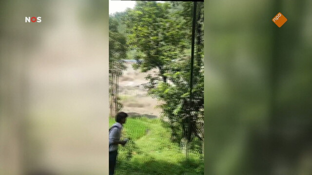 NOS Journaal