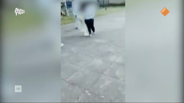 EenVandaag