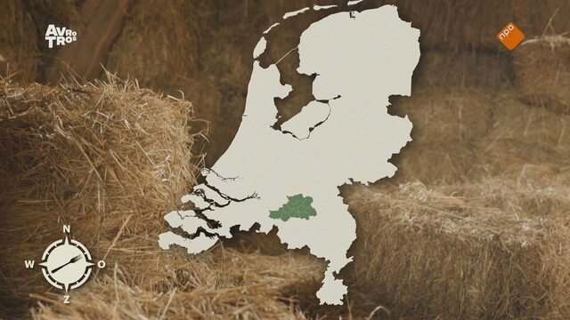 De streken van Van Boven