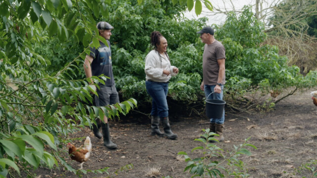 Sharon bij biodynamisch pluimveebedrijf
