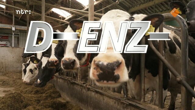 Het Klokhuis