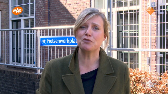 Noord-Zuid-Oost-West