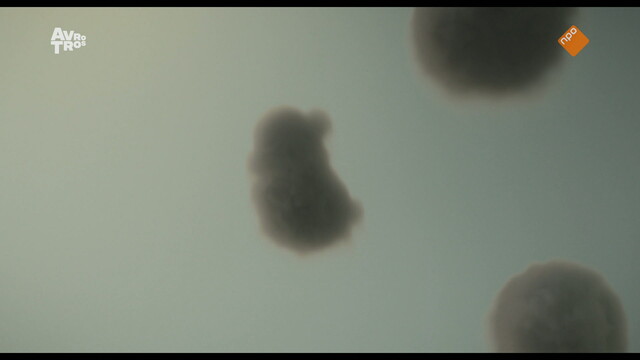 Override of the title Cloudboy