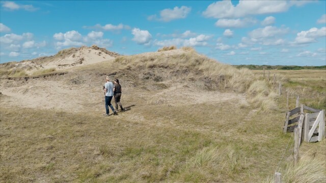 Override of the title Zuurpruim? Nee, zuur duin!
