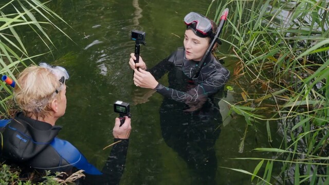 Koppie onder in waterwingebied