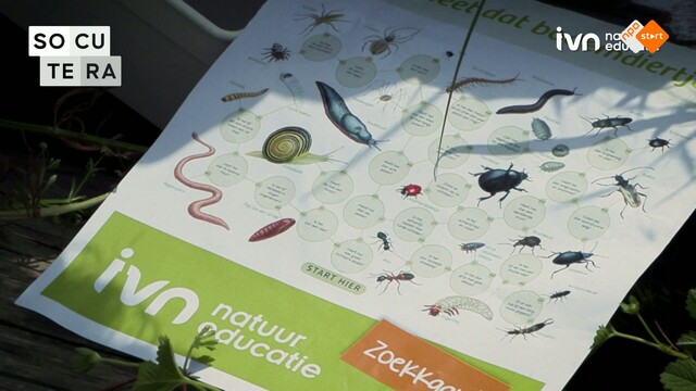 Socutera
