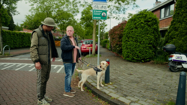 wilde buren | alleen maar love
