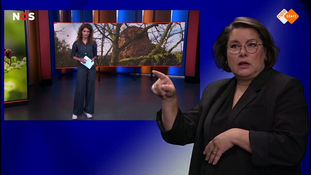 NOS Jeugdjournaal met gebarentaal