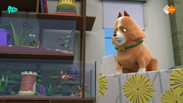 Override of the title Agent Binky
