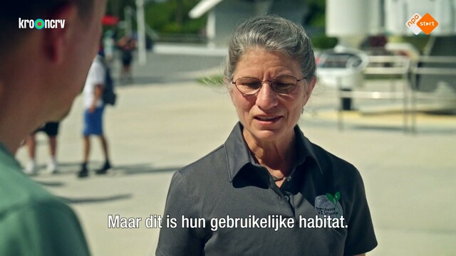 Override of the title Klaas kan alles kort