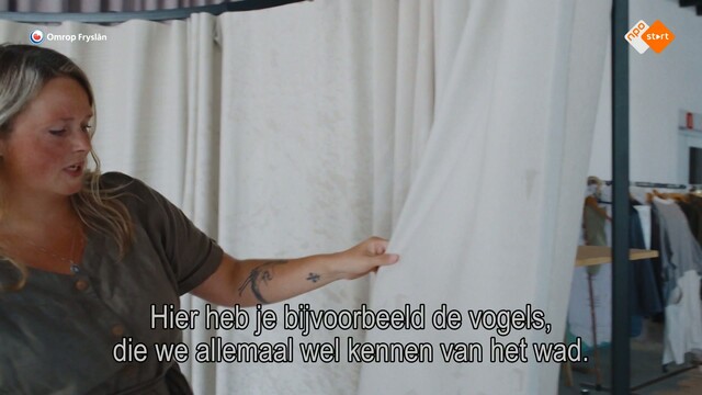 Override of the title Fryslân DOK