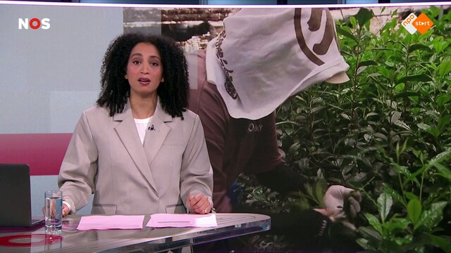 Override of the title NOS Journaal