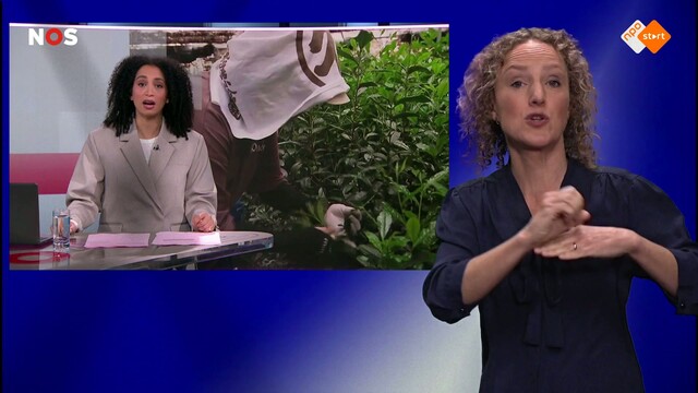 NOS Journaal met gebarentaal